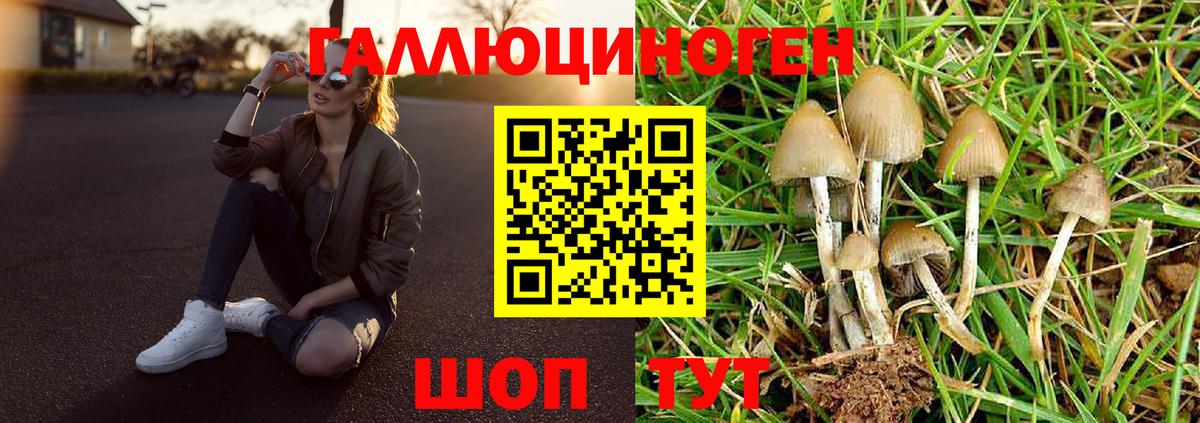 Галлюциногенные грибы мицелий  Вход с VPN  Вологда  купить наркотики цена  Галлюциногенные грибы Psilocybine cubensis 