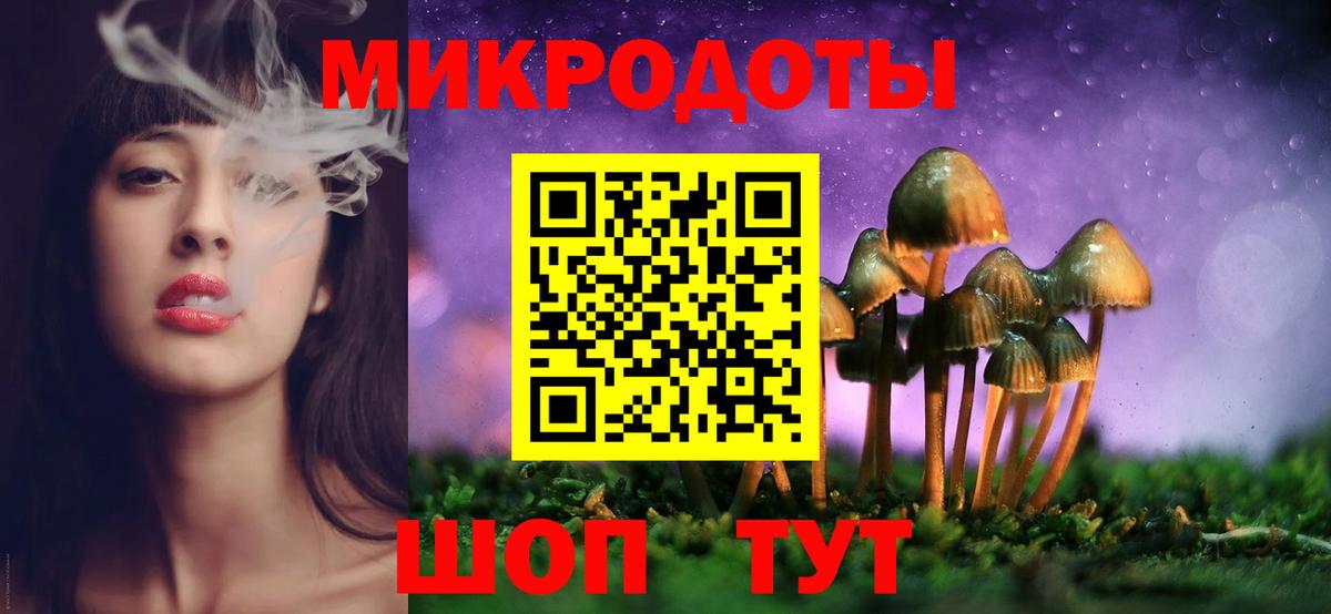 Галлюциногенные грибы Magic Shrooms Вологда